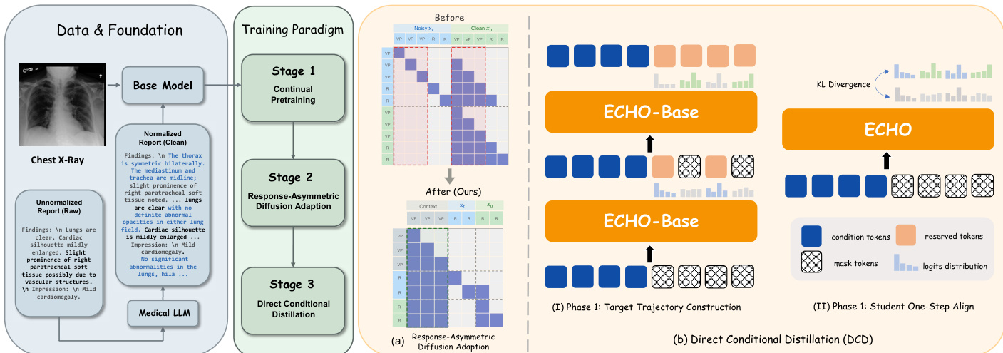 Overview of the ECHO training pipeline
