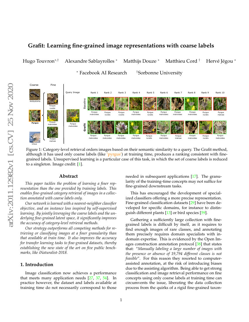 Grafit:使用粗标签学习细粒度图像表示