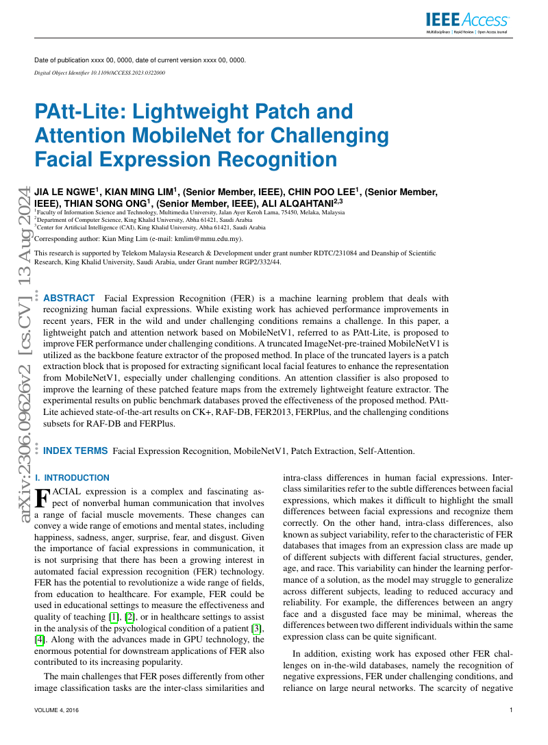 PAtt-Lite:面向挑战性面部表情识别的轻量级Patch与注意力MobileNet