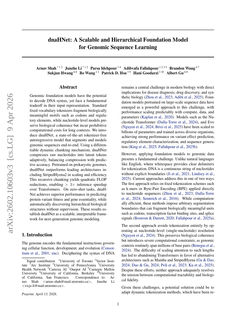 dnaHNet: A Scalable and Hierarchical Foundation Model for Genomic Sequence Learning