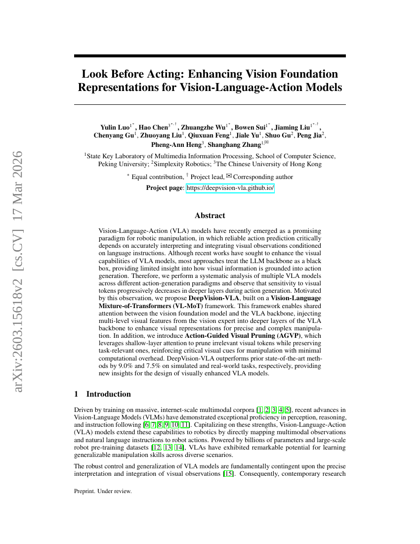 Look Before Acting: Enhancing Vision Foundation Representations for Vision-Language-Action Models