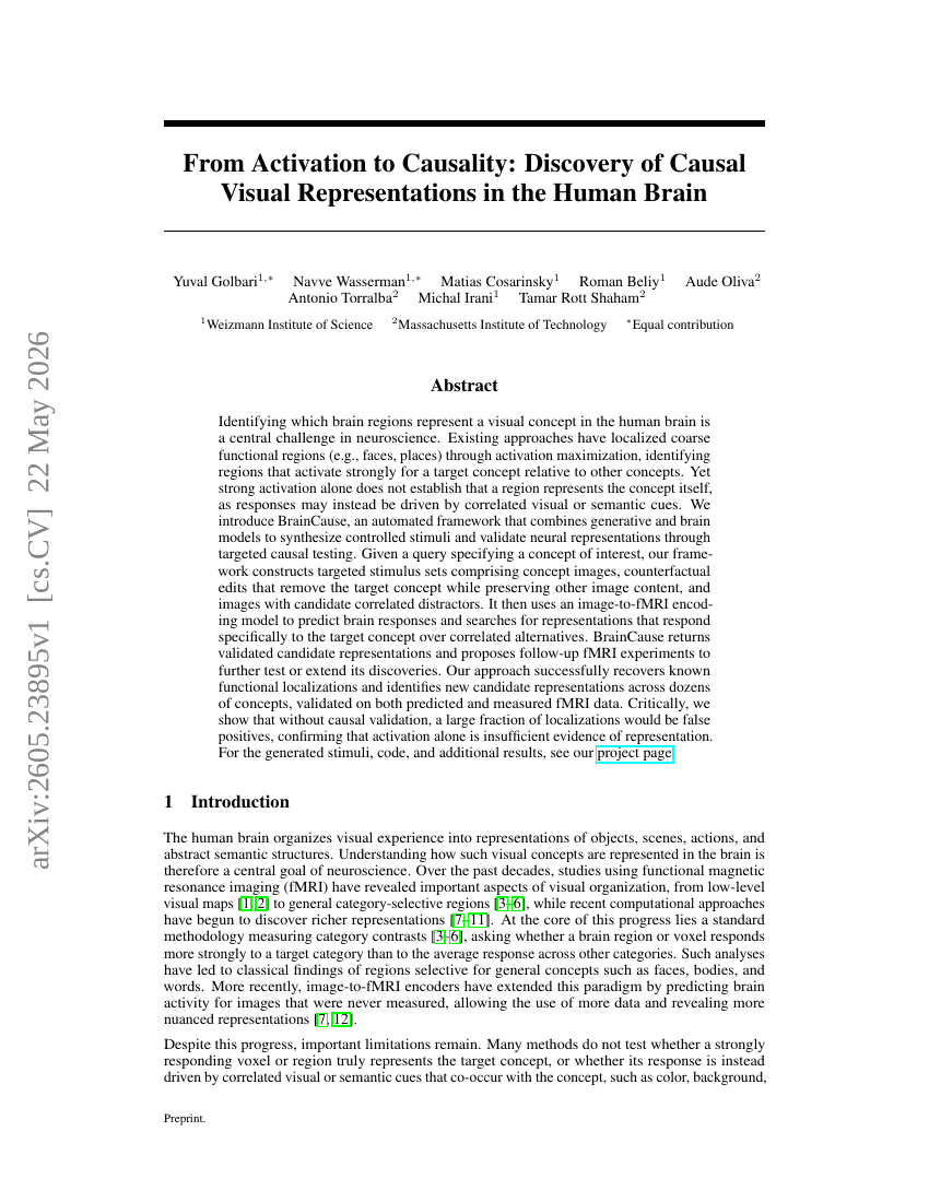 From Activation to Causality: Discovery of Causal Visual Representations in the Human Brain