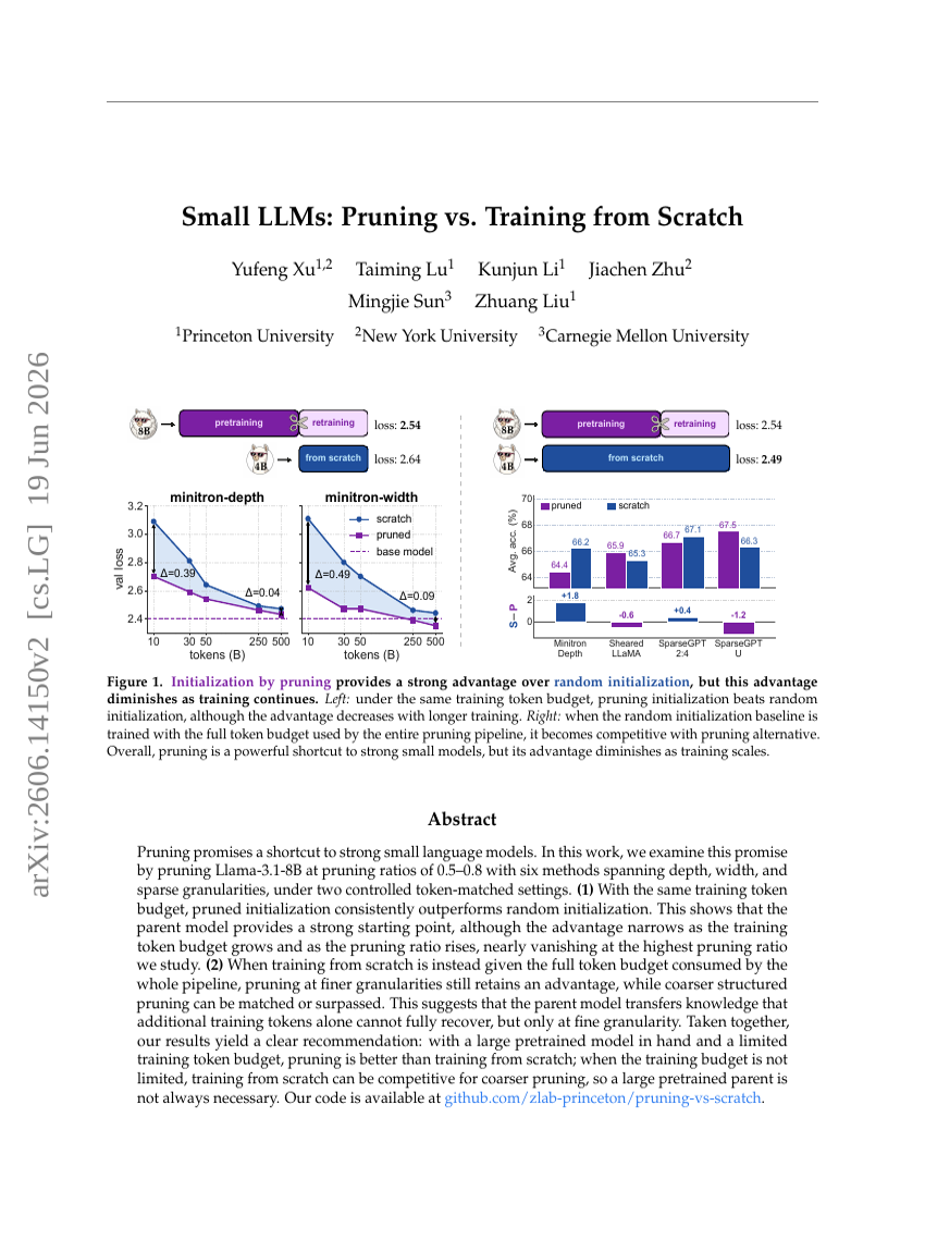 Small LLMs: Pruning vs. Training from Scratch